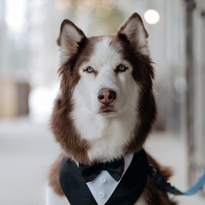 whyisgabe's profile picture. made you look