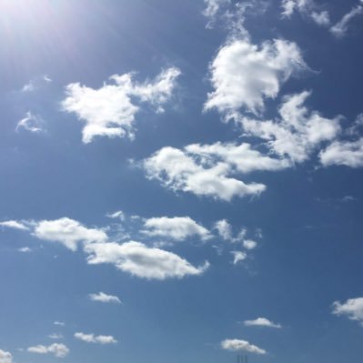 teto_96neko's profile picture. YOLO 🧢 今日を駆け抜けろー‼︎ピピ