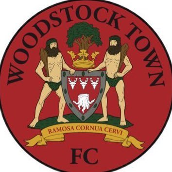 ACE Academy representing Woodstock Town Football Club.
Follow for live updates and our journey together!