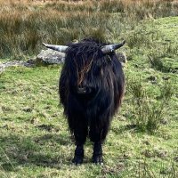 Hawkl65 (@hawkl65) 's Twitter Profile