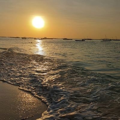 Julius Mbatia Profile