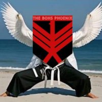The Bohs Phoenix ™ (@bohsphoenix) 's Twitter Profile