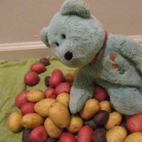 The Teddy #BeMoreToddy (@teddysfamiwy) 's Twitter Profile