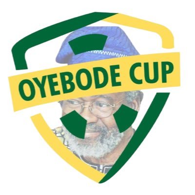 Prof Akin Oyebode Cup Profile