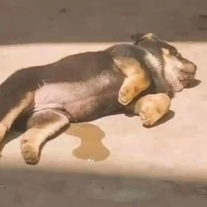 ivansitokazna's profile picture. 