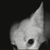 . (@bwndkednsn) Twitter profile photo . (@bwndkednsn) Twitter profile photo