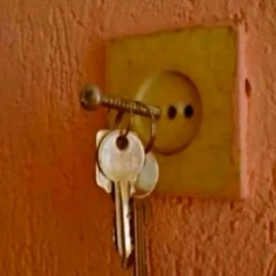 suetolog787's profile picture. 