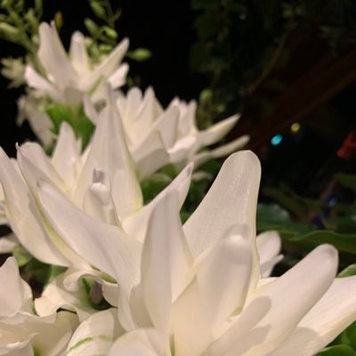 sadistic_U's profile picture. 