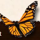 SouthernFun2024's profile picture. 