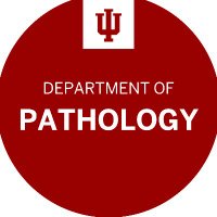 IUPathology (@iupathology) 's Twitter Profile Photo IUPathology (@iupathology) 's Twitter Profile Photo