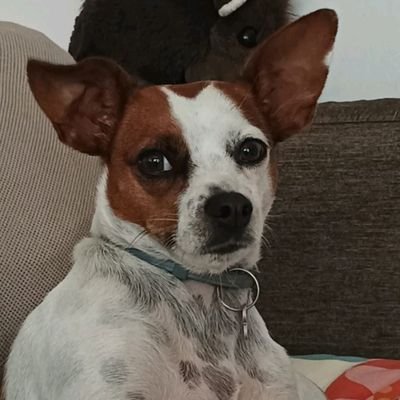 _E_Cl4ir_'s profile picture. 