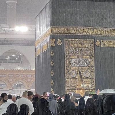 mssah12's profile picture. 