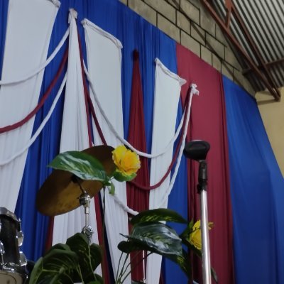 obote_davi12208's profile picture. 