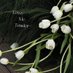 Hùng Trần (@hgtrann01) Twitter profile photo Hùng Trần (@hgtrann01) Twitter profile photo