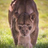 Eng LaToya Ouna (@namsit) 's Twitter Profile