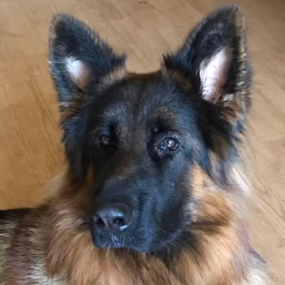 Howyis Profile