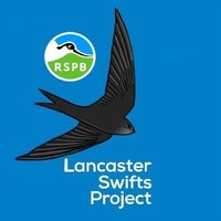 Lancaster Swift City (@lancasterswifts) 's Twitter Profile Photo Lancaster Swift City (@lancasterswifts) 's Twitter Profile Photo