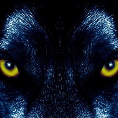 OMNISIRIUS1's profile picture. 