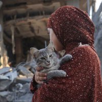 DinaGAZA🇵🇸🍉🍉 (@332dinamohammed) 's Twitter Profile