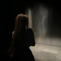 Senox (@senoxfnb) 's Twitter Profile