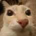 Kiri (@kiri14353653) Twitter profile photo Kiri (@kiri14353653) Twitter profile photo