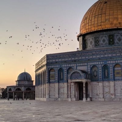 Evet şu istikbal inkilabatı içinde en yüksek gür seda islamın sedası olacaktır!