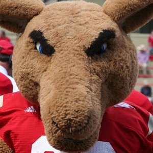 devkeydet Profile
