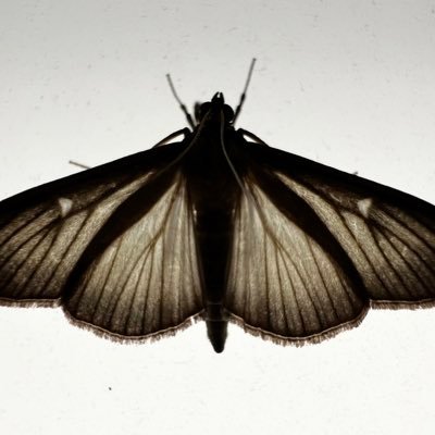 westcoast04's profile picture. 