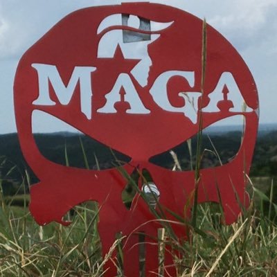 TASPatriot's profile picture. God bless President Trump!