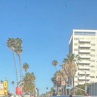 LA OTC (@tradingnewstart) 's Twitter Profile