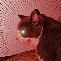 Khajiit Supports Palestinian Liberation (@itskatsheet) 's Twitter Profile Photo Khajiit Supports Palestinian Liberation (@itskatsheet) 's Twitter Profile Photo