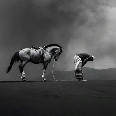 vuthoward's profile picture. La politique noble c'est réfléchir à ce qui est nécessaire et le rendre possible.