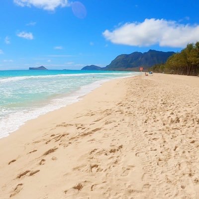 socalkickinit's profile picture. Kickin’ life up in the sunshine!