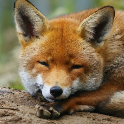 maruno5555's profile picture. 零細企業を経営しながら3歳男児を育てるWM