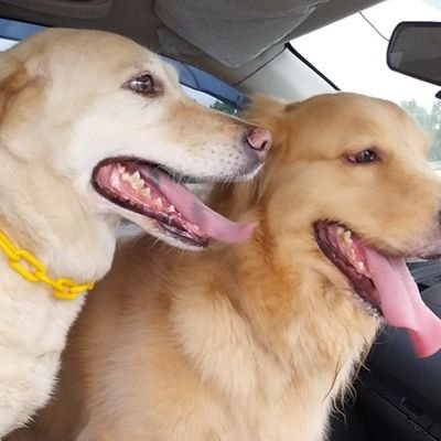 KaromKotsa's profile picture. 