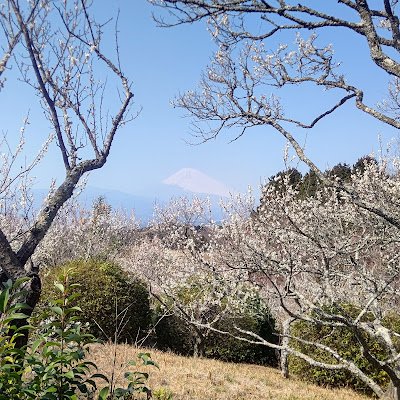 KatoMasato89893's profile picture. 