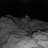 TVU1969's profile image