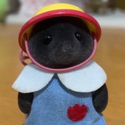 collector account ♡ | posto videozinho da coleção nas redes! a coleção de sylvanian é da minha mãe :) sylvanian + slow hirono 👇🏻