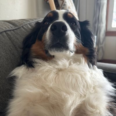 716SwordsNShout's profile picture. Midwest born but never truly lived until I moved to Buffalo. A part of the BillsMafia and SabresMafia. Buffalo Food, Craft Beer, and Buffalo Sports 🍗🍺🏉🏒