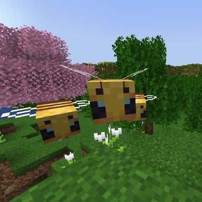 SraDonba's profile picture. estoy casada