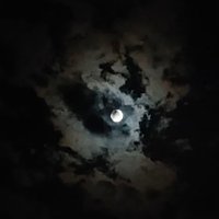 Ayesha Slow 🐢 (@i_am_ishaw7) 's Twitter Profile Photo Ayesha Slow 🐢 (@i_am_ishaw7) 's Twitter Profile Photo
