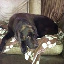 chris basham - @cbash1969 - Twitter