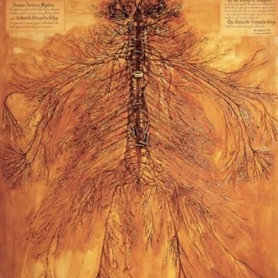 GaelA0419's profile picture. Veritatem cognoscere ruat caelum et pereat mundus