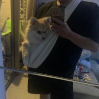 saltedegg (@k_anft) 's Twitter Profile