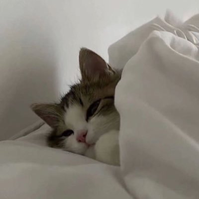 roseblue0211's profile picture. 