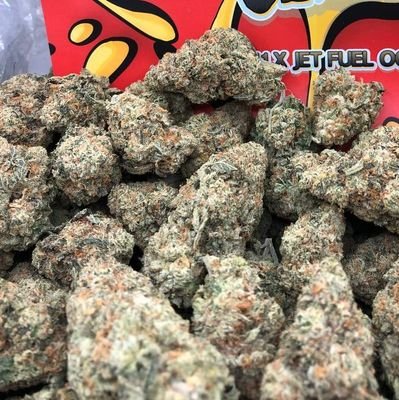 VapaBuds's profile picture. All i give you is noting but guaranteed picks with massive odds