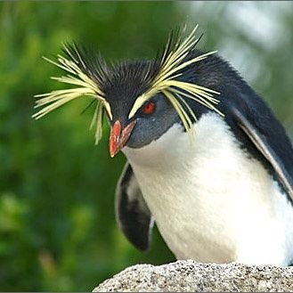 0429chiquita's profile picture. よろしくお願いします💜