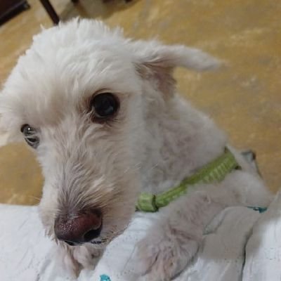 Tonysta14825279's profile picture. 