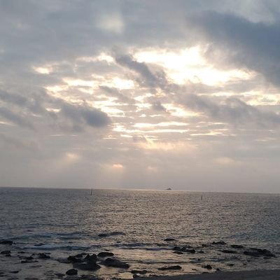 PendragonSoul's profile picture. 