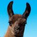 Ozzark (@ozzark_) Twitter profile photo Ozzark (@ozzark_) Twitter profile photo